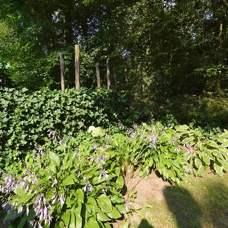 Comfortable With A Garden Holiday home