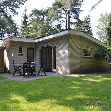 In Near Forest * Zelhem