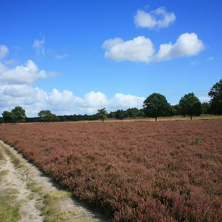 펜션 In Near Forest