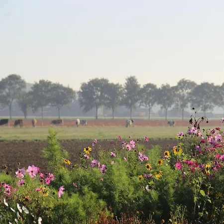 In Near Forest Ferienhaus *