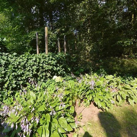 펜션 In Near Forest *