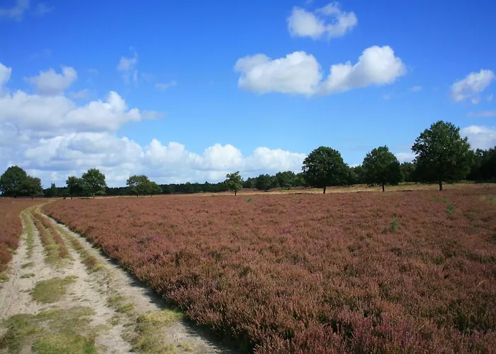 度假居 In Near Forest