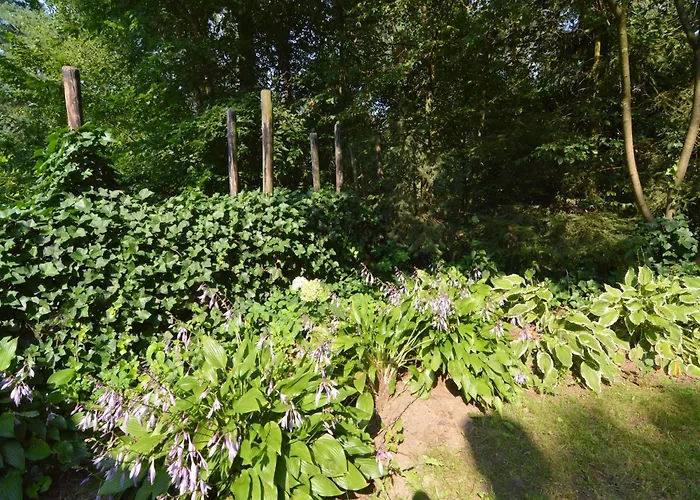 度假居 In Near Forest *