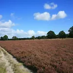 度假居 In Near Forest