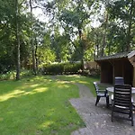 In Near Forest