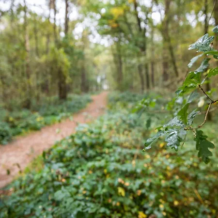 In Near Forest Holiday home