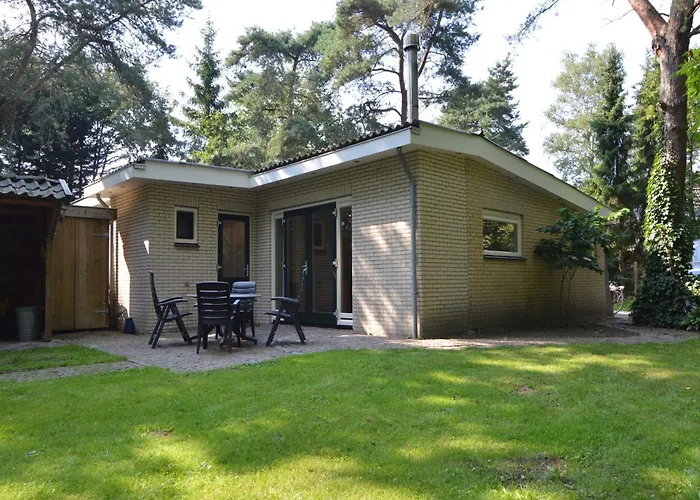 In Near Forest * ゼルヘーム