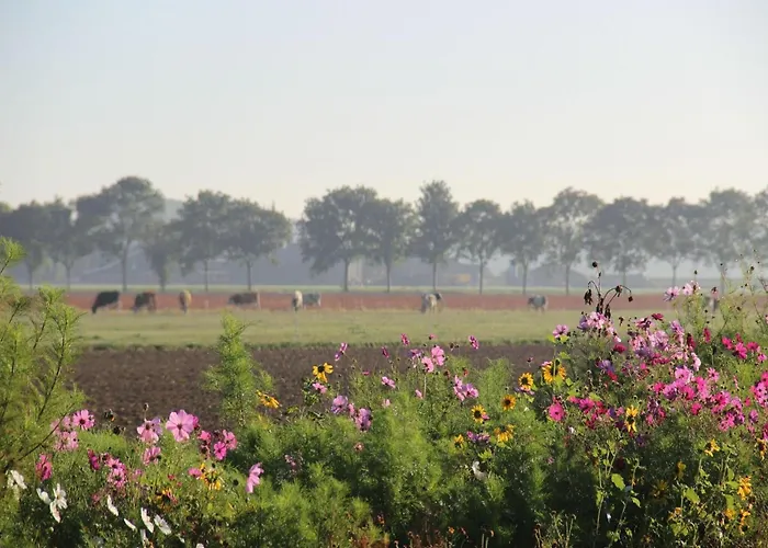 In Near Forest 別荘 *